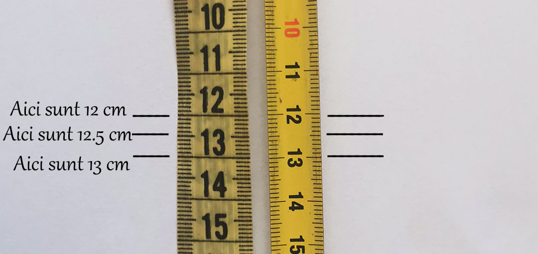 Centimetru vs. Ruletă