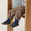 Pantofi Geox baieti, Barefoot, piele naturala, Steppieup, bleumarin_B465WA-00085-C4002-20_Pebebe